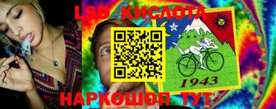 ГАЛЛЮЦИНОГЕННЫЕ ГРИБЫ Кинель