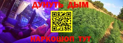 марихуана Кингисепп