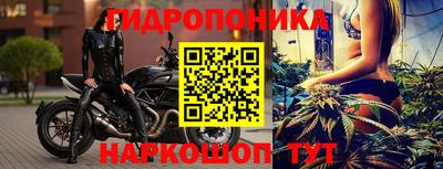 марихуана Кингисепп