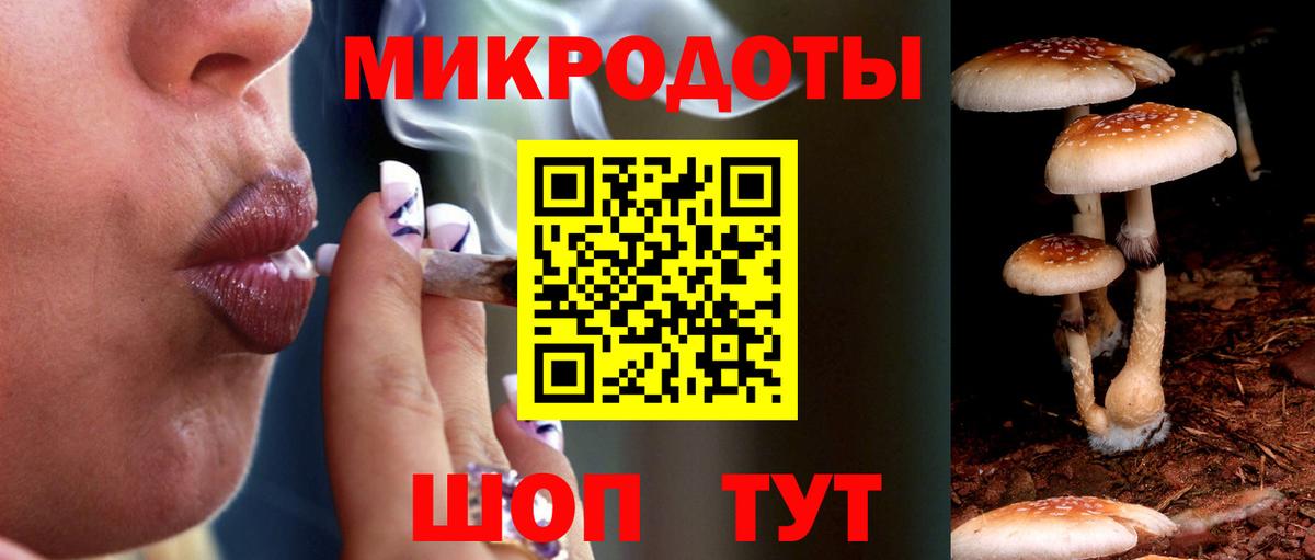 Псилоцибиновые грибы Magic Shrooms Шелехов